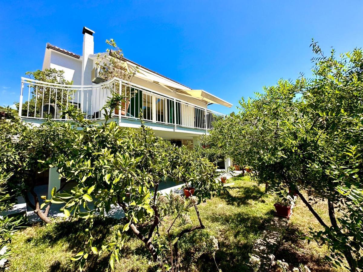 Perla & Palma Villa Zaboric Buitenkant foto
